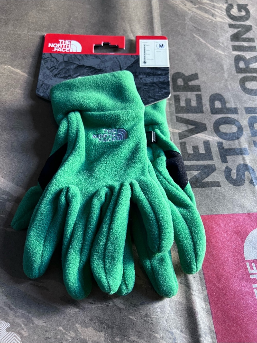 NWT The North Face Women’s Chellie Fleece Gloves